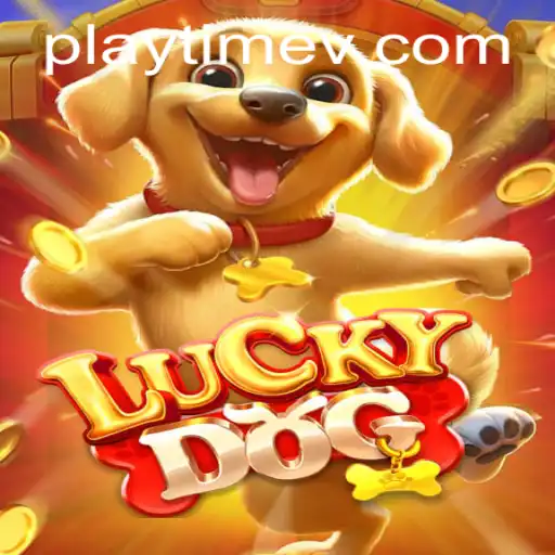 Dive into the Exciting World of LuckyDog: Unleash Hours of PlayTime